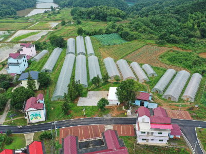 短视频丨“海陆空”全域旅游 看小谭书记的“东山”崛起
