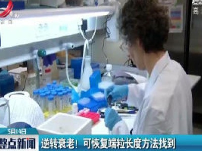 逆转衰老！ 可恢复端粒长度方法找到