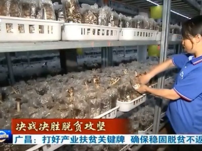 【决战决胜脱贫攻坚】广昌：打好产业扶贫关键牌 确保稳固脱贫不返贫