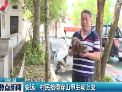 安远：村民拾得穿山甲主动上交