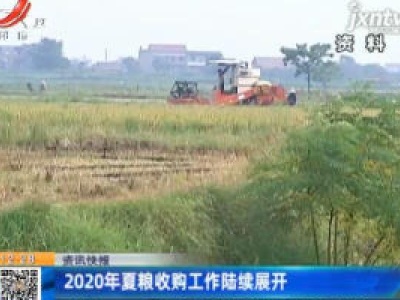 2020年夏粮收购工作陆续展开