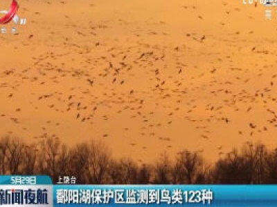 鄱阳湖保护区监测到鸟类123种