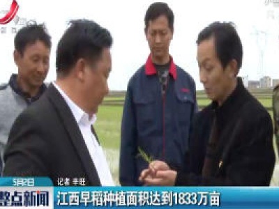 江西早稻种植面积达到1833万亩