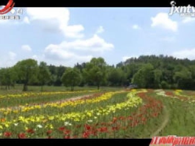 江西旅游报道20200513