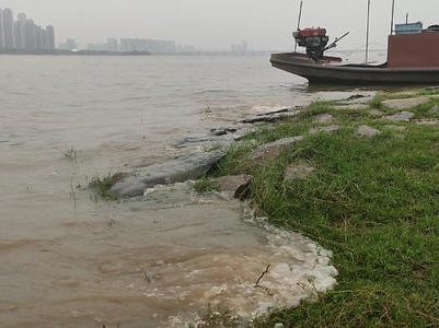 受降雨影响 赣江支流锦江水位明显上涨