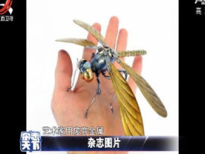 艺术家用废金属制作昆虫 栩栩如生