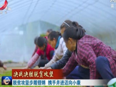 脱贫攻坚步履铿锵  携手并进迈向小康