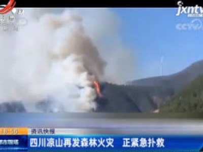 四川凉山再发森林火灾 正紧急扑救