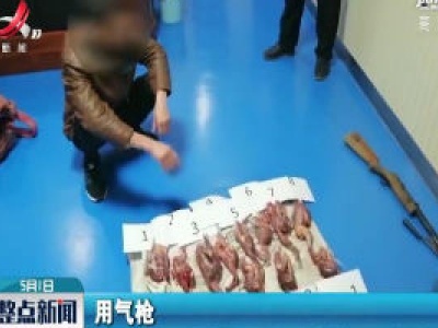 上饶：盗猎国家保护动物 因酒驾露出马脚