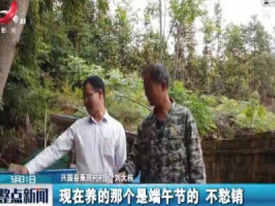 赣州：“鹅司令”陈受金