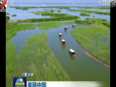 中央电视台《新闻联播》20200505