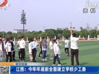 江西：2020年年底前全面建立学校少工委