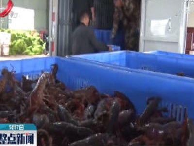 江西省小龙虾产值2020年有望突破200亿元