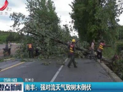 南丰：强对流天气致树木倒伏
