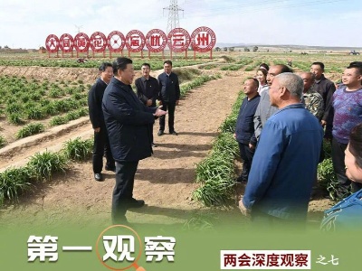 第一观察｜从“吃得饱”到“吃得好”——总书记眼中的“小康菜谱”