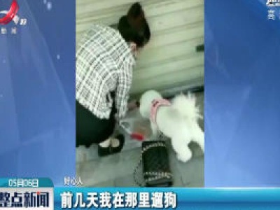 湖北武汉：老板回老家3个月 市民门缝投喂猫咪