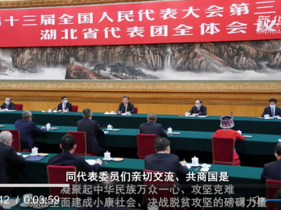 从人民中汲取磅礴力量——习近平总书记同出席2020年全国两会人大代表、政协委员共商国是纪实