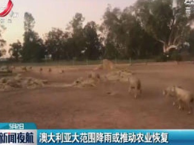 澳大利亚大范围降雨或推动农业恢复