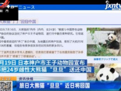 旅日大熊猫“旦旦”近日将回国