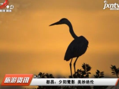 都昌：夕阳鹭影 美妙绝伦