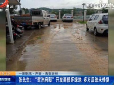 【一追到底·声音】吉安吉州·张先生：“鹭洲府邸”开发商损坏绿地 多方反映未修复