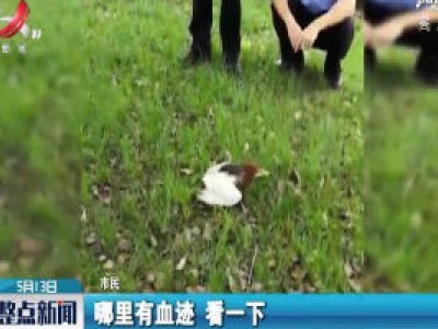 上饶：池鹭受伤民警及时救助
