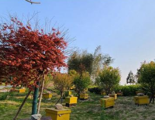 脱贫一年多，他们这样做——铜鼓县大塅镇公益村巩固提升脱贫成效见闻