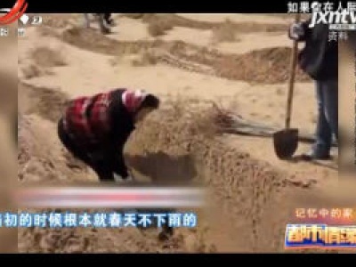 都市情缘20200503 特别节目《梦想改造家》——记忆中的家