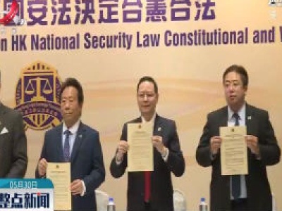 香港法律界：全国人大涉港决定合理合法