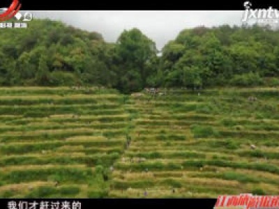 江西旅游报道20200518
