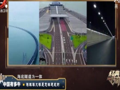 经典传奇20200526 中国有多牛——港珠澳大桥是怎样建成的