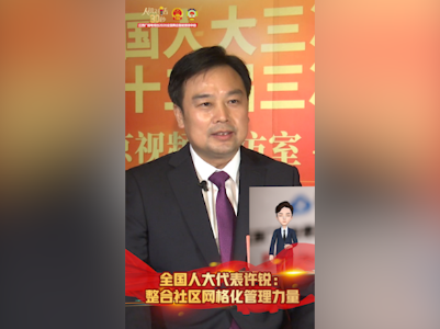 全国人大代表许锐：整合社区网格化管理力量