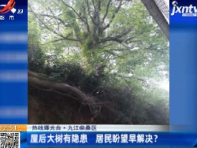 【热线曝光台】九江柴桑区：屋后大树有隐患 居民盼望早解决？