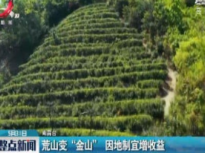 南昌：荒山变“金山” 因地制宜增收益
