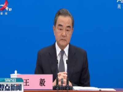 【关注全国两会】王毅谈中央政府推进香港国家安全立法