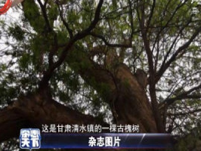 甘肃：岁月无情 人间有爱