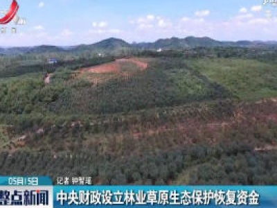 整点新闻20200515 14:00