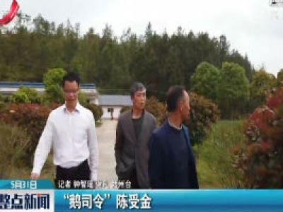 赣州：“鹅司令”陈受金