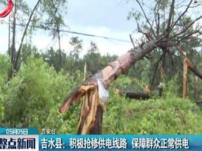 吉水县：积极抢修供电线路 保障群众正常供电