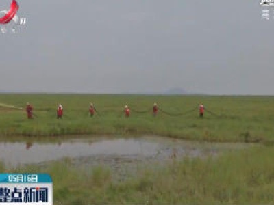 庐山市开展湖区查螺灭螺行动