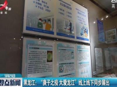 黑龙江：“庚子之疫 大爱龙江”线上线下同步展出