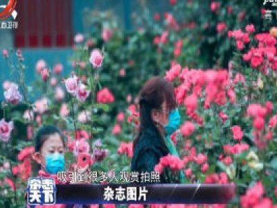 北京大观园恢复开园 游客需预约购票