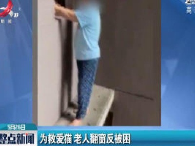 重庆：为救爱猫 老人翻窗反被困