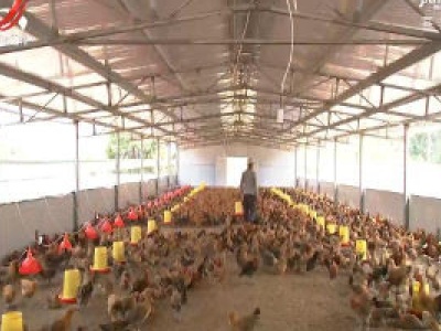 江西：做优做强扶贫龙头企业 巩固提升脱贫成效