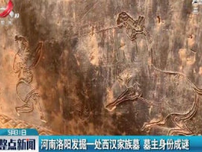 河南洛阳发掘一处西汉家族墓 墓主身份成谜