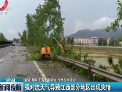强对流天气导致江西部分地区出现灾情