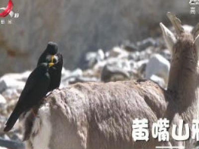 新闻大搜索20200513