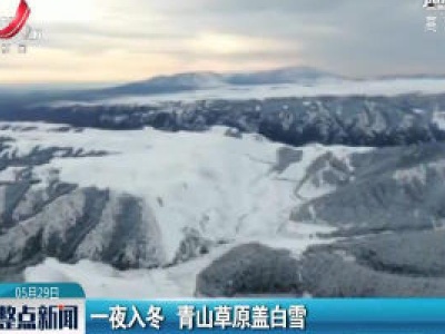 甘肃：一夜入冬 青山草原盖白雪