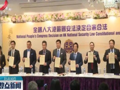 香港法律界：全国人大涉港决定合理合法
