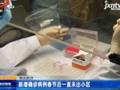 湖北武汉：新增确诊病例春节后一直未出小区